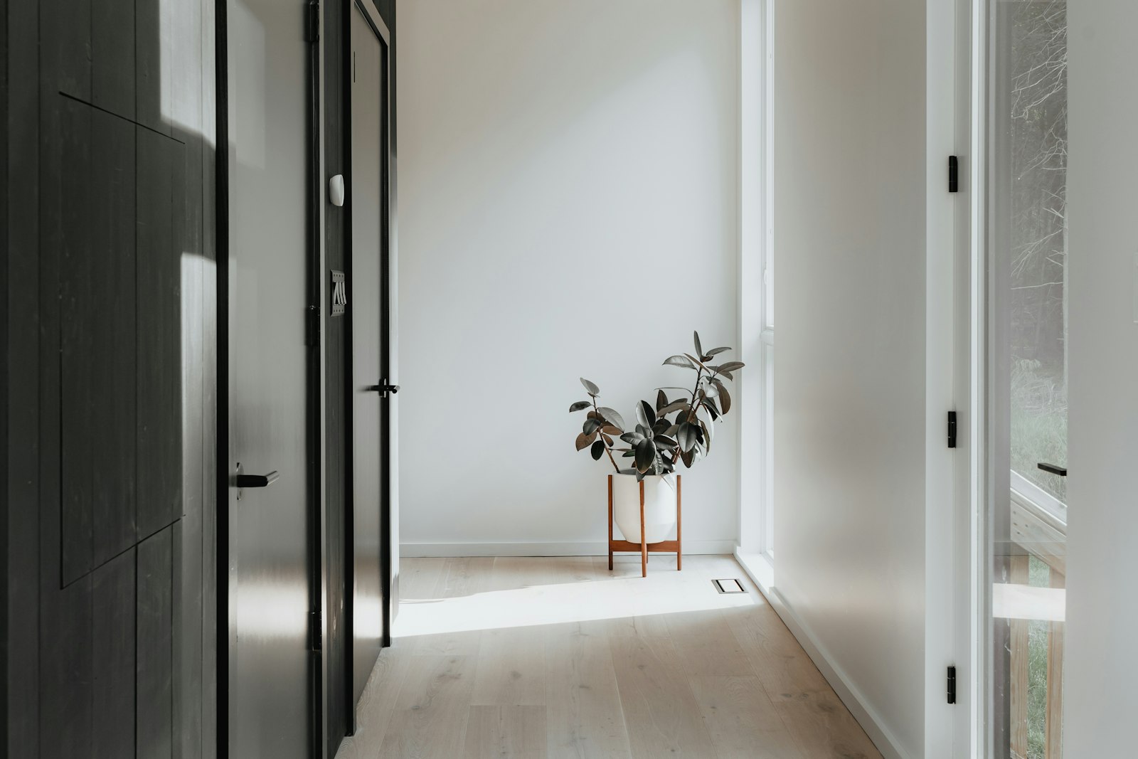 Office and Commercial Clean